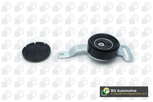 Tensioner Lever, V-ribbed belt (WG1907491)