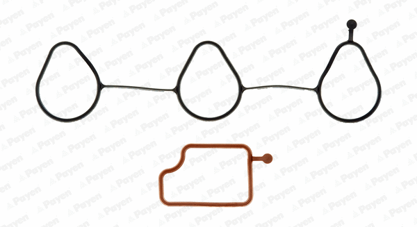 Gasket, intake manifold (WG1091048)