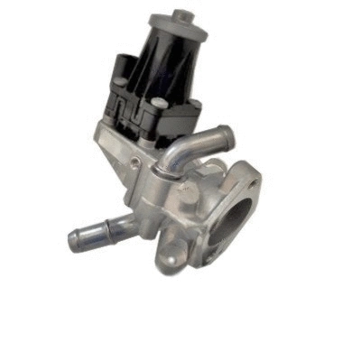 EGR Valve (WG1015376)