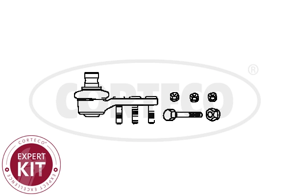 Ball Joint (WG2288356)