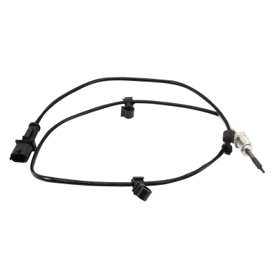 Sensor, exhaust gas temperature (WG1978127)