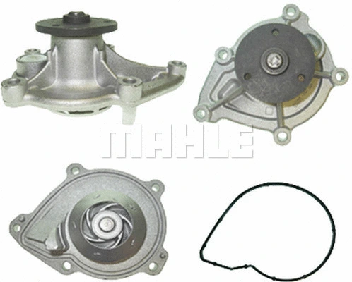 Water Pump, engine cooling (WG2181554)