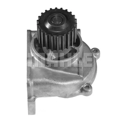 Water Pump, engine cooling (WG2181626)