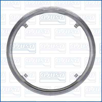 Gasket, exhaust pipe (WG2186600)