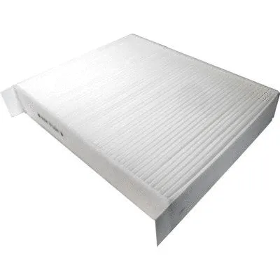 Filter, cabin air (WG1747342)