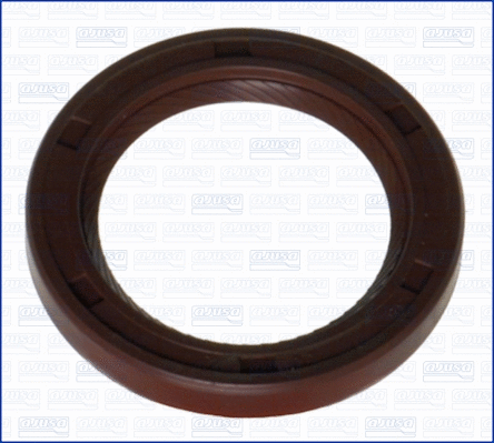 Shaft Seal, camshaft (WG1163067)