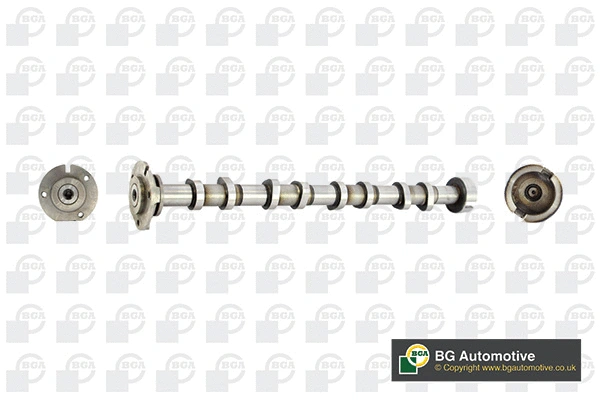 Camshaft (WG1490429)