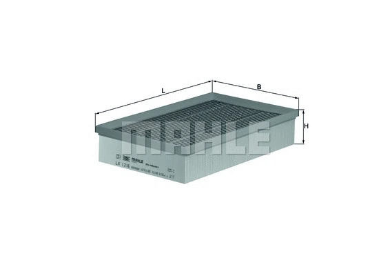 Air Filter (WG1215847)