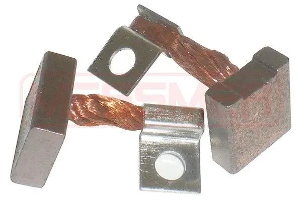 Carbon Brush, starter (WG2013672)
