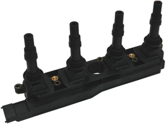 Ignition Coil (WG1012226)