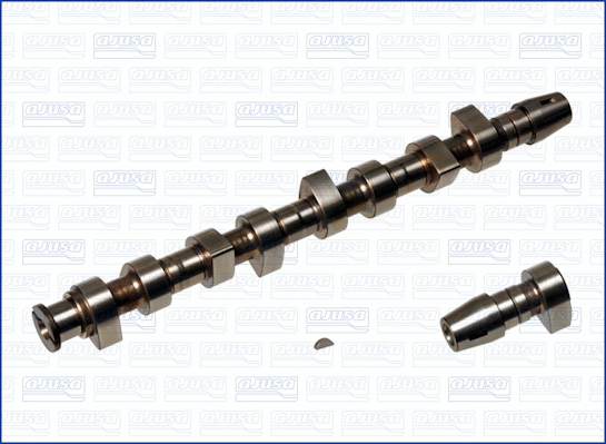 Camshaft (WG1171193)