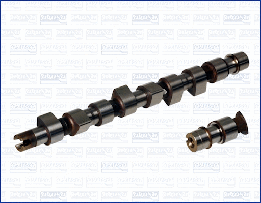 Camshaft (WG1171379)