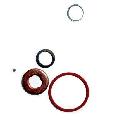 Repair Kit, injection nozzle (WG2263546)