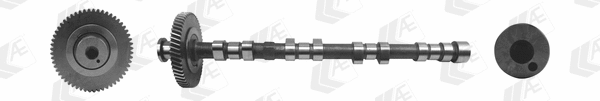Camshaft (WG1497629)