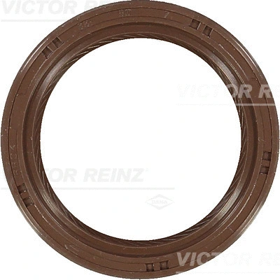 Shaft Seal, camshaft (WG1250455)
