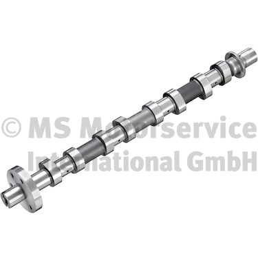 Camshaft (WG2263881)