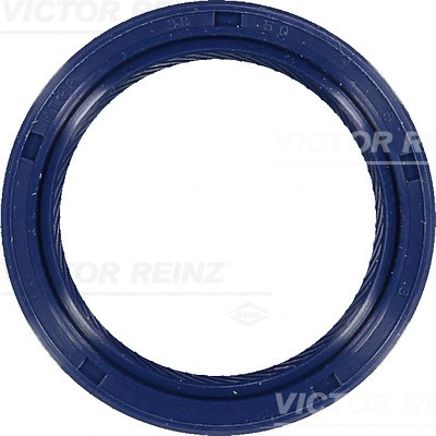 Shaft Seal, crankshaft (WG1250568)