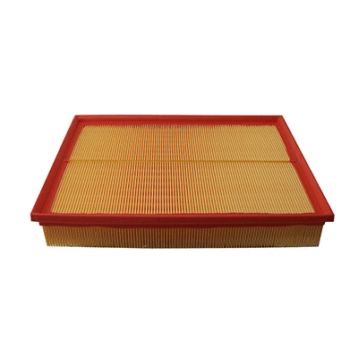 Air Filter (WG2152116)