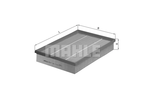 Air Filter (WG1216523)