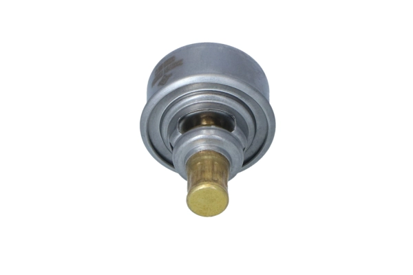 Thermostat, coolant (WG2204600)