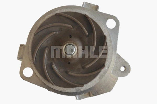 Water Pump, engine cooling (WG2181784)