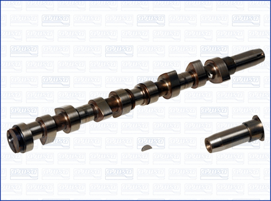 Camshaft (WG1171191)