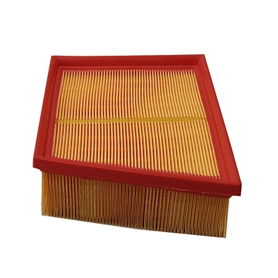 Air Filter (WG2152126)