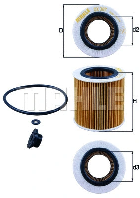 Oil Filter (WG1719697)
