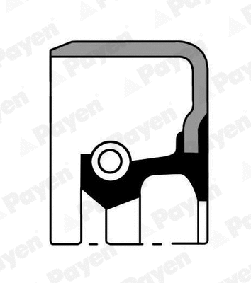 Shaft Seal, wheel hub (WG1183994)