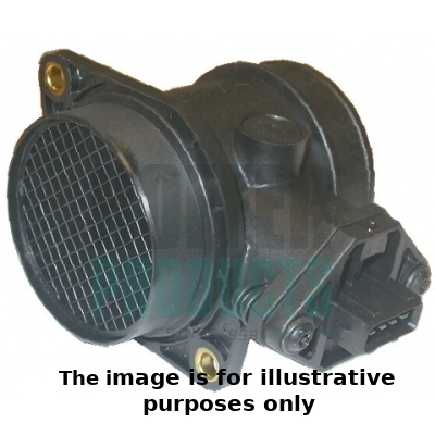 Mass Air Flow Sensor (WG1905281)