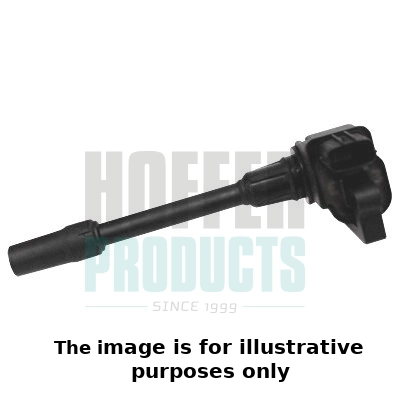 Ignition Coil (WG1902107)