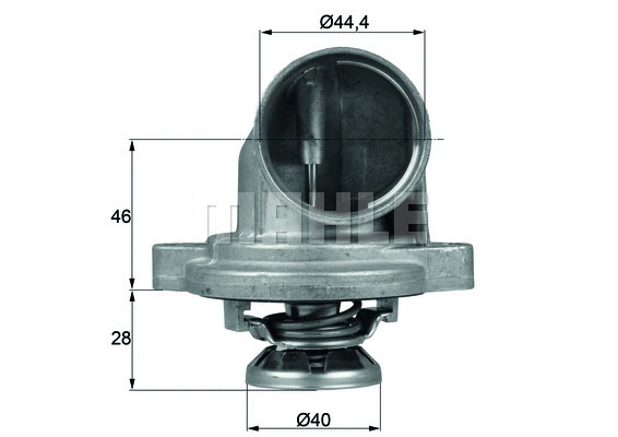 Thermostat, coolant (WG1262784)