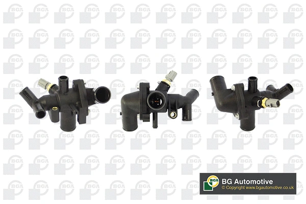 Thermostat, coolant (WG1760306)