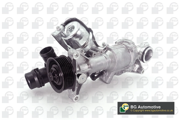 Water Pump, engine cooling (WG1991853)