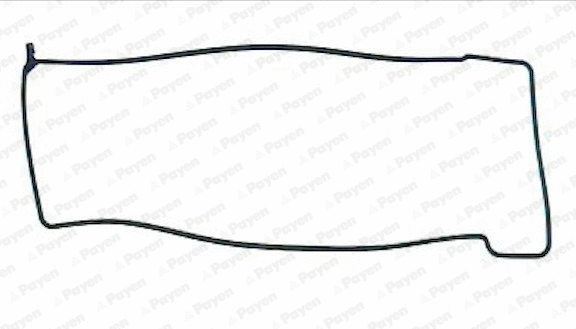 Gasket, cylinder head cover (WG1177329)