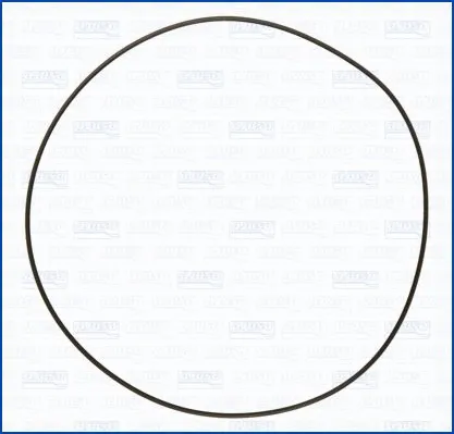 Seal Ring, cylinder liner (WG2081049)