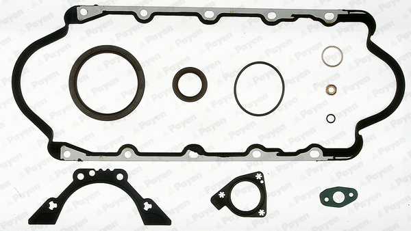 Gasket Kit, crankcase (WG1179939)