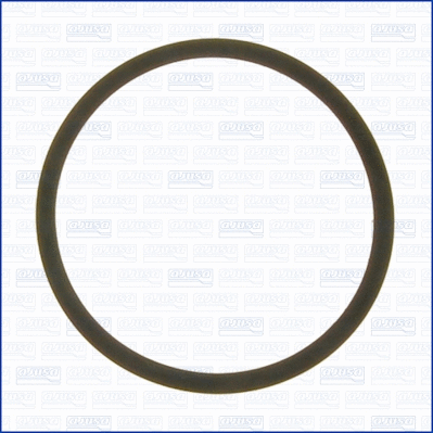 Seal Ring, oil cooler (WG1452064)