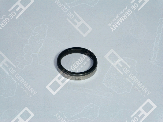 Valve Seat (WG1484668)