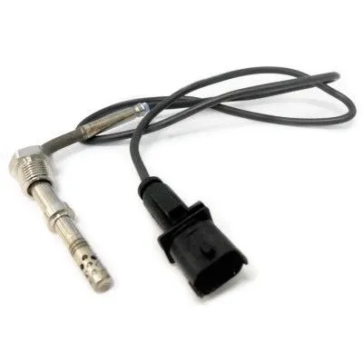 Sensor, exhaust gas temperature (WG1268364)