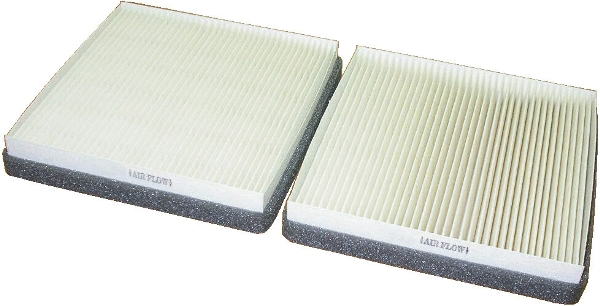 Filter, cabin air (WG1747009)
