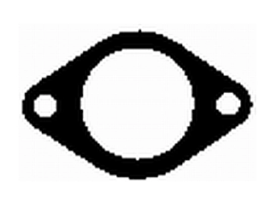 Gasket, exhaust pipe (WG1769103)