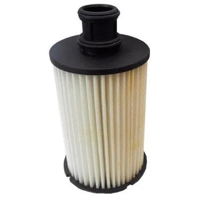 Oil Filter (WG1904994)