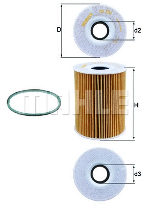 Oil Filter (WG1217343)