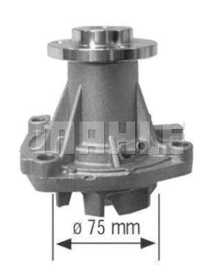 Water Pump, engine cooling (WG2181326)