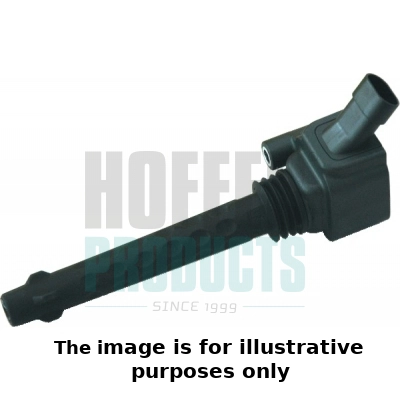 Ignition Coil (WG1902090)