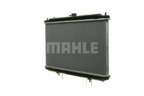 Radiator, engine cooling (WG2182670)