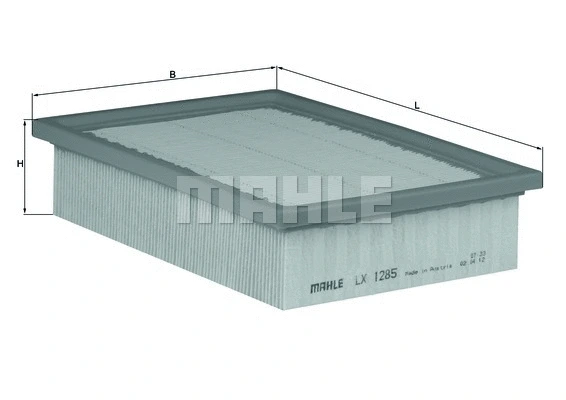 Air Filter (WG1215891)