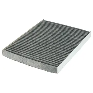 Filter, cabin air (WG1774780)