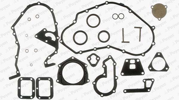 Gasket Kit, crankcase (WG1090566)